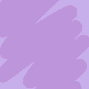 The pictures will be back in a few days